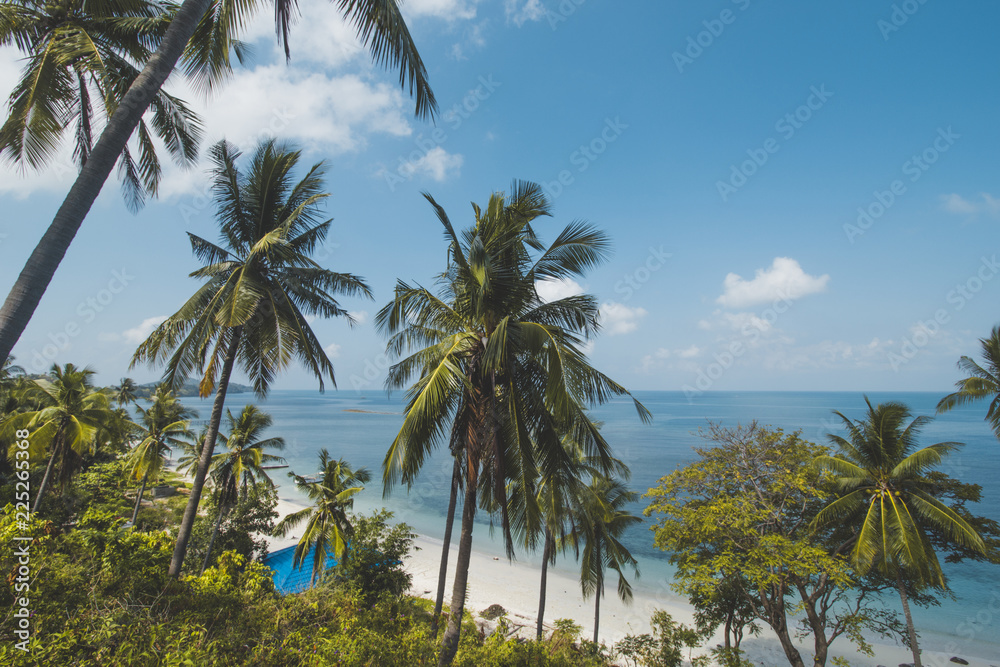 Beautiful Tropical Beach with Coconut Tree and Blue Sky