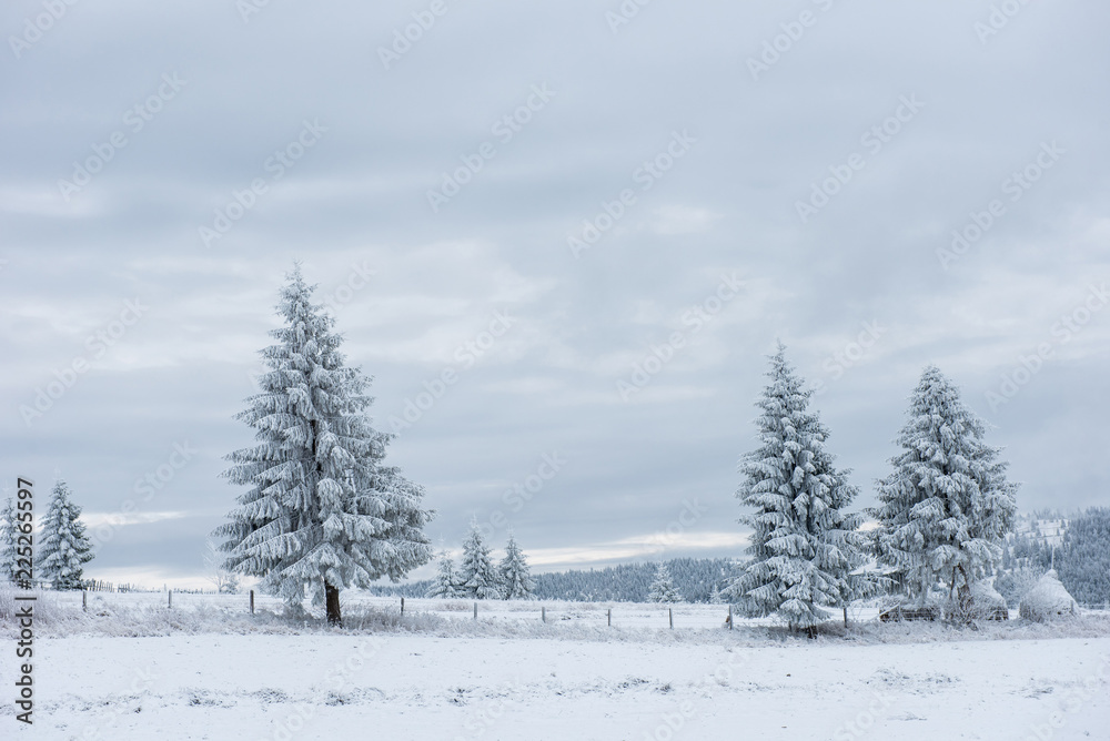 Fairy snowy winter Christmas landscape Fairy snowy winter Christmas landscape