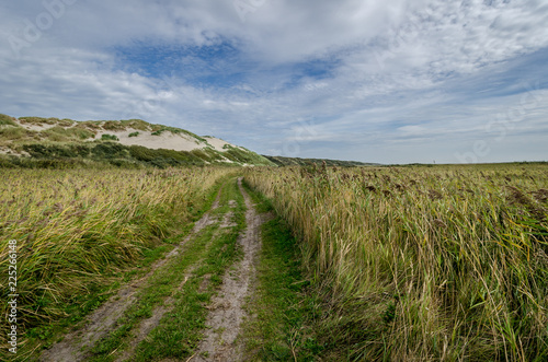 Sand road on the boschplaat with dunes in the background photo
