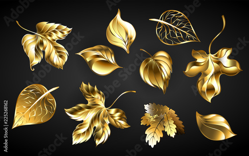 Wallpaper Mural set of golden leaves Torontodigital.ca