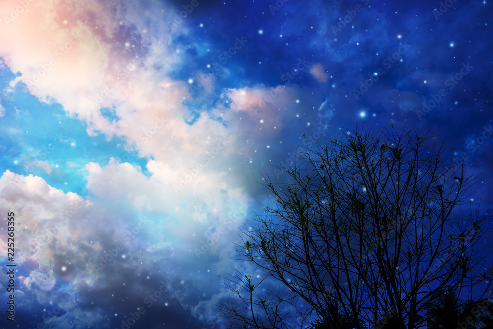 Obraz premium night sky with stars.