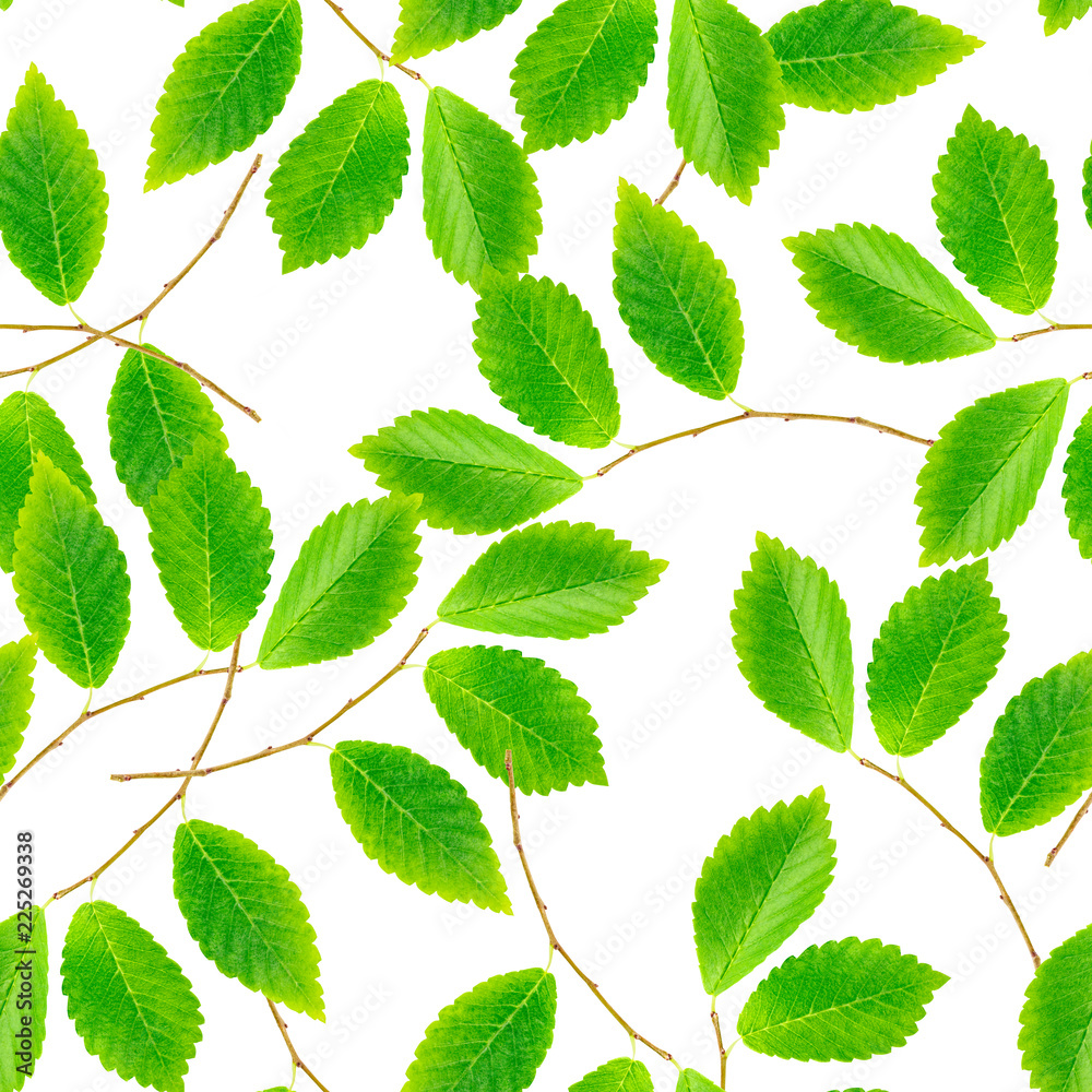A seamless pattern of green leaves and branches on a white background, a vibrant repeat print