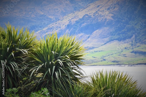 Scenic mountains in New Zealand