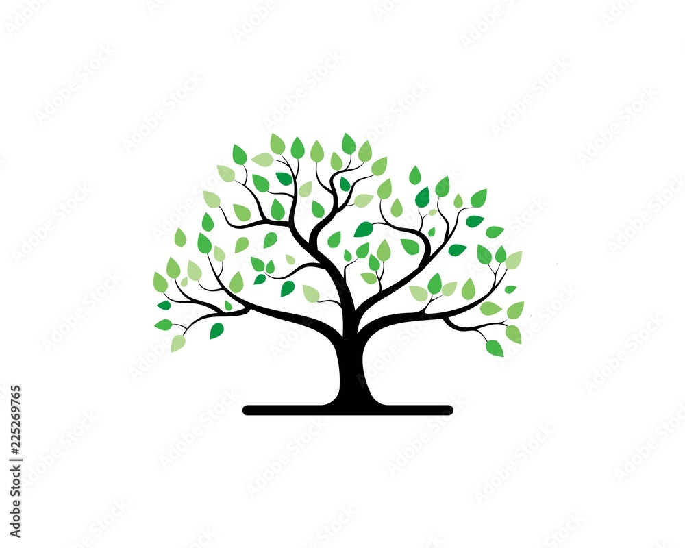 Tree icon concept of a stylized Tree icon concept of a stylized