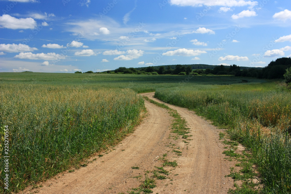 A dirt road in the field