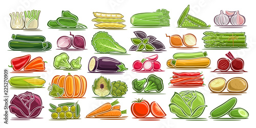 Vector set of fresh Vegetables, 30 isolated design symbols of vegetarian vegetable meal, group of colorful agriculture signs on white background, illustrations of simple farm elements for packaging.