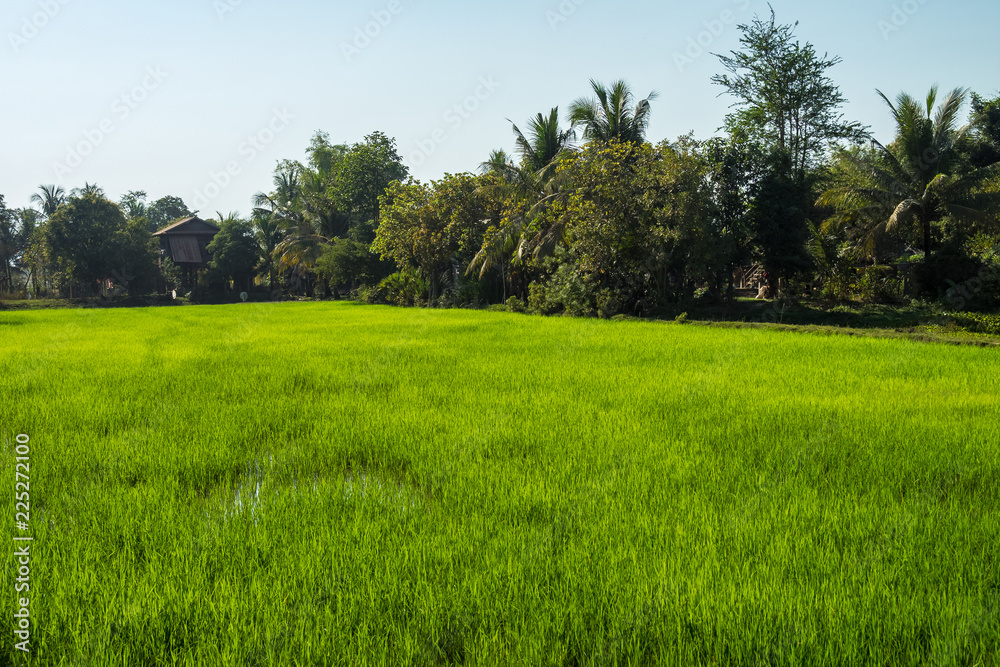 Obraz premium Kambodscha - Landausflug nordöstlich von Siem Reap