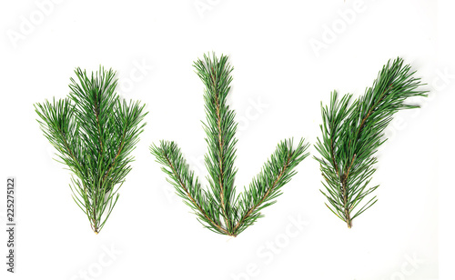 Christmas composition. Christmas tree branch, pine cones, fir branches on white background. © Natalia Samorodskaia