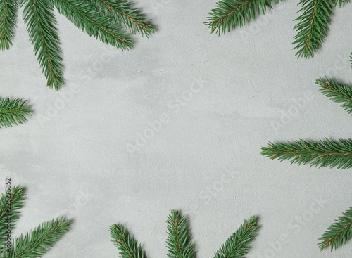 Christmas composition. Christmas tree branch. Spruce