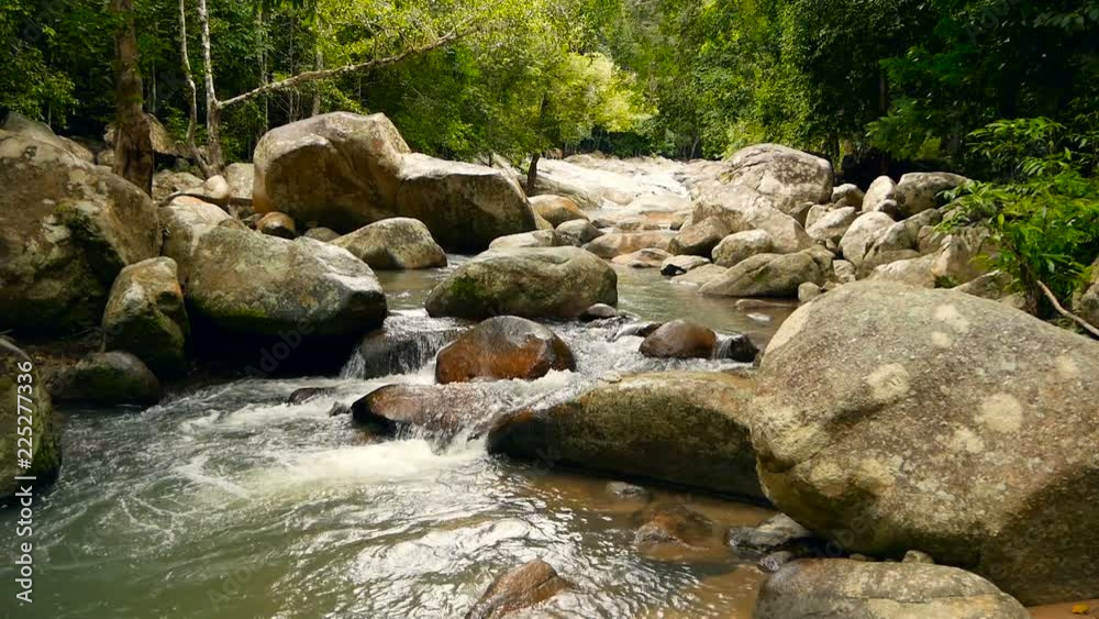 Magical scenery of rainforest and river with rocks. Wild vegetation, deep tropical forest. Jungle with trees over fast rocky stream with rapids. Steam with stone cascades flows through exotic woods. Magical scenery of rainforest and river with rocks. Wild vegetation, deep tropical forest. Jungle with trees over fast rocky stream with rapids. Steam with stone cascades flows through exotic woods.