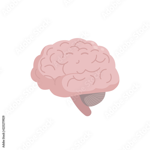 Healthy Brain icon isolated on white background, medical illustration in flat design. Intelligence concept.