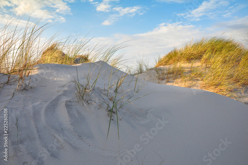 Moving dunes in the Slowinski National Park near the city of Leba, Baltic Sea Coast, Poland photo