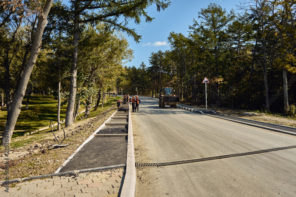 road in the park