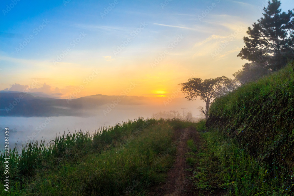View of earth road and grass flowers covered in foggy during morning sunrise.