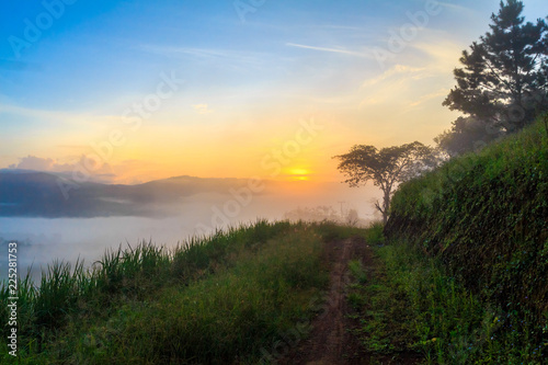 View of earth road and grass flowers covered in foggy during morning sunrise.