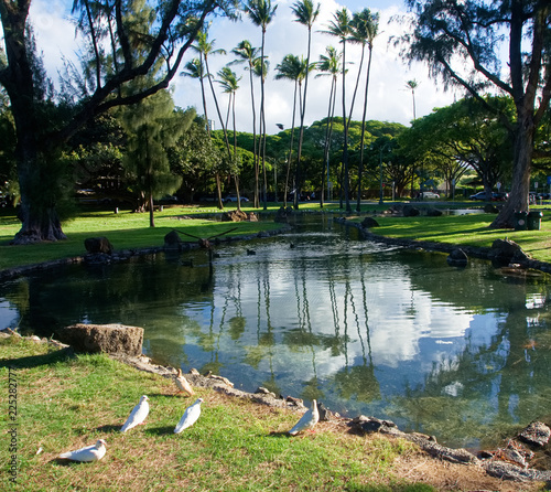 Hawaii Oahu Leahi Beach Park photo