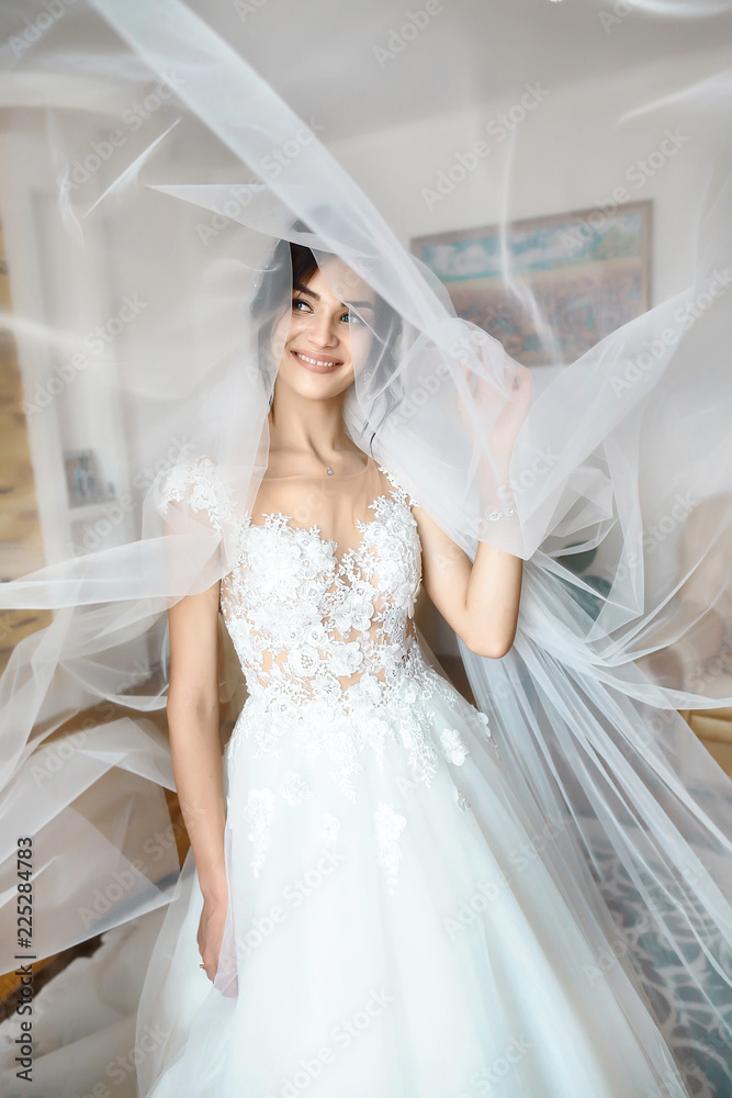 Bride's morning. Fine art wedding. Portrait of a young beautiful sexy tender bride in white lace wedding dress gracefully put hand on veil. Veil is thrown over her face. Closeup view Bride's morning. Fine art wedding. Portrait of a young beautiful sexy tender bride in white lace wedding dress gracefully put hand on veil. Veil is thrown over her face. Closeup view
