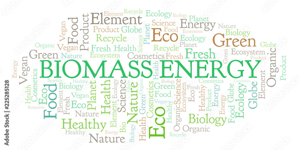 Fototapeta premium Biomass Energy word cloud.