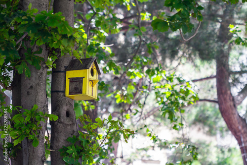 Wooden birdhouse on a tree in the park
