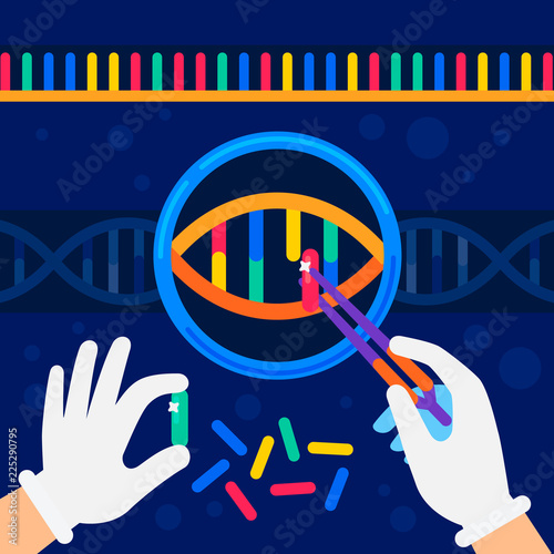 genome sequencing concept. Nanotechnology and biochemistry laboratory. The hands of a scientist working with a dna helix, genome or gene structure. Human genome project. Flat style vector illustration photo