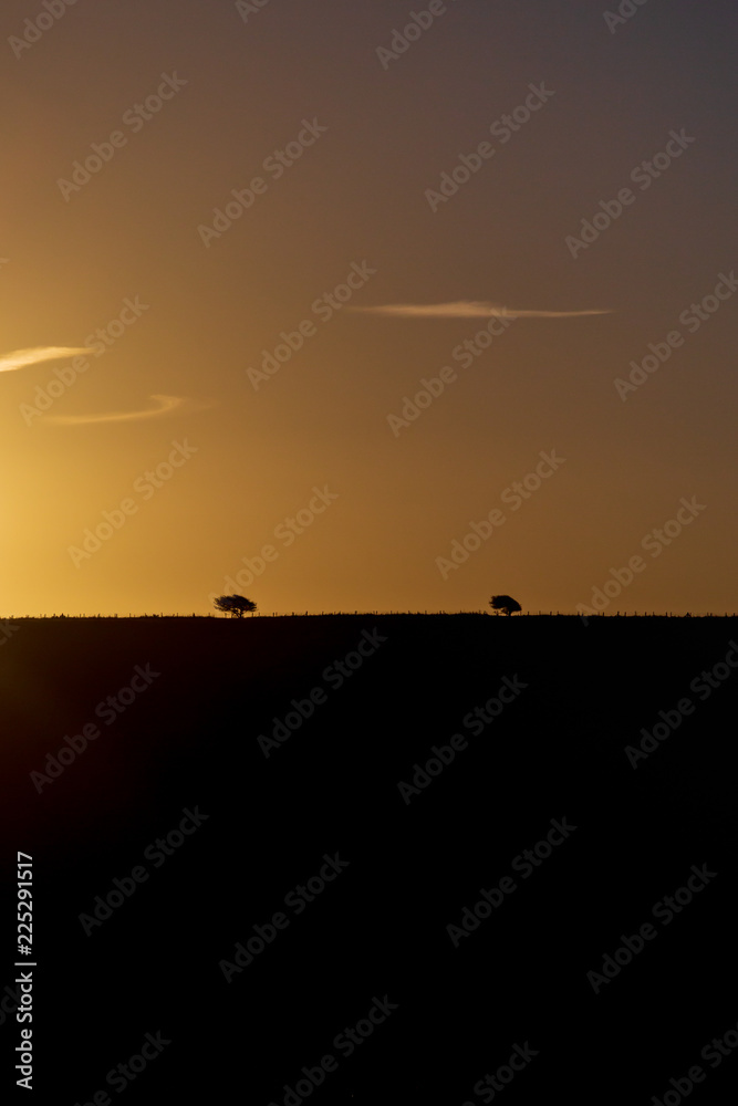 Two trees on the brow of a hill at sunrise