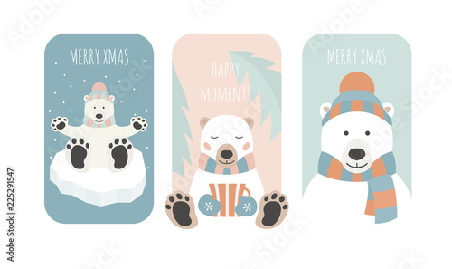 Cute polar bear. Christmas holiday greeting card, poster design