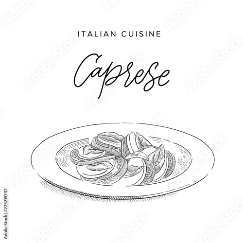 mozzarella with tomatoes and basil on a plate, sketch style vector illustration