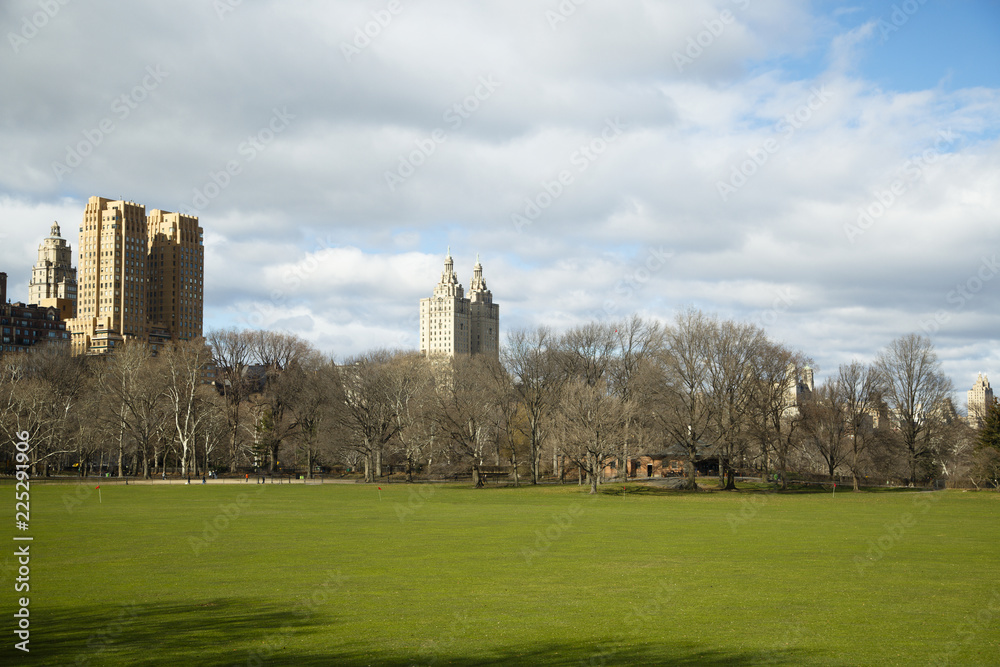 Springtime in the Central Park in NYC