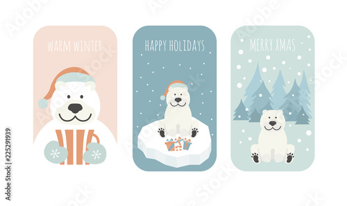 Cute polar bear. Christmas holiday greeting card, poster design