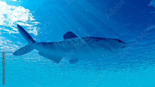 3d rendered illustration of an enchodus