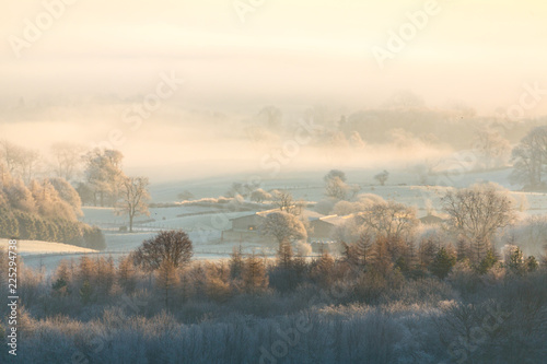 foggy morning in the yorkshire dales photo