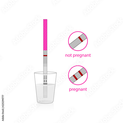 Pregnancy test set. Positive and negative pregnancy tests