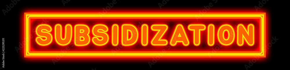 Subsidization - glowing text on black background