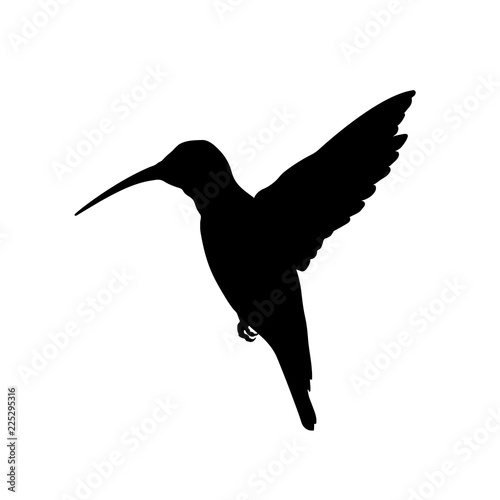 Black silhouette of colibri. Isolated image of humming bird on white background. Animal of North America. Vector illustration
