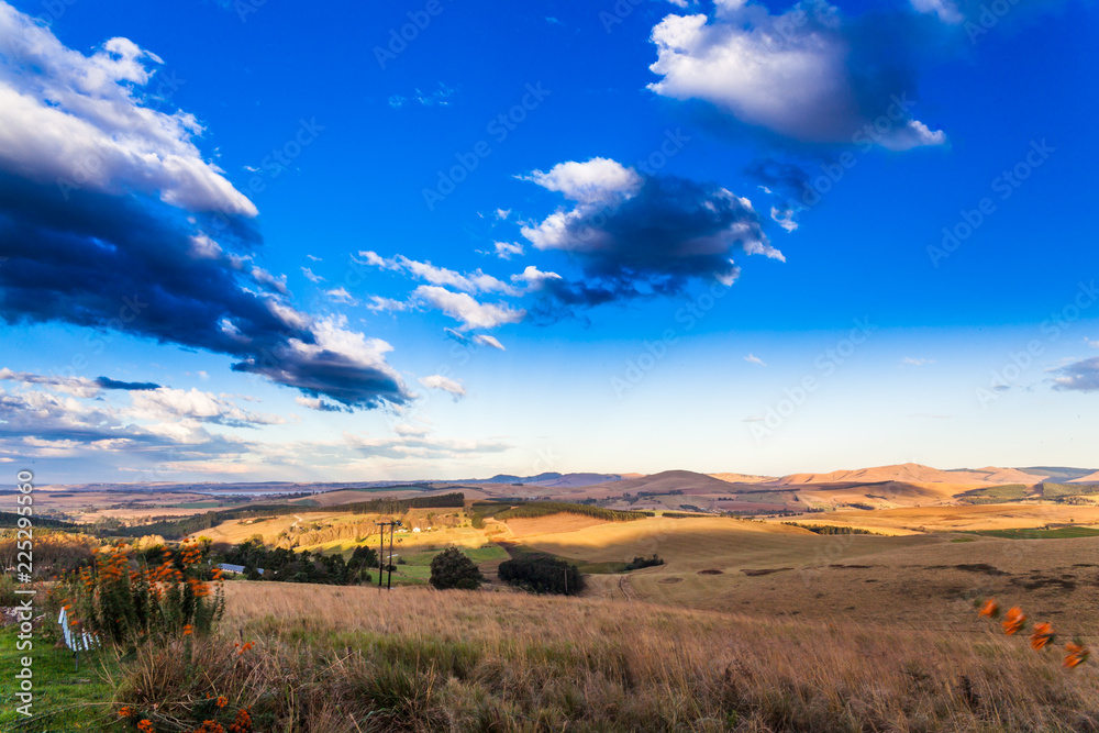 Fototapeta premium The Dargle valley in Kwa-Zulu Natal is a fertile place with many farms in the area. KZN, South Africa. 