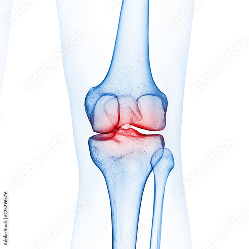 3d rendered medically accurate illustration of the skeletal knee