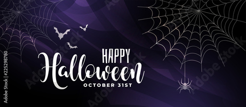 scary halloween background with bats and spider web
