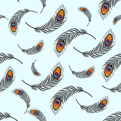 Acrylglasbilder Pfauenmuster Fliegende Pfauenfedern als Vektormuster  © NinaVetrova