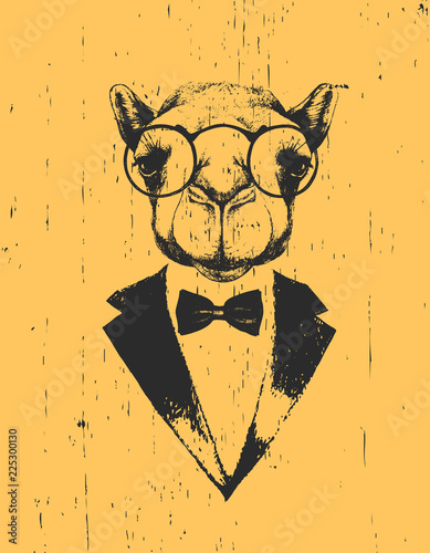 Portrait of Camel in suit, hand-drawn illustration, vector