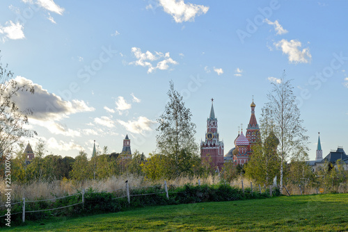 Field and trees with the Moscow Kremlin