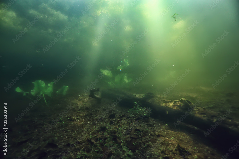 underwater freshwater green landscape / underwater landscape of the lake ecosystem, algae, green water, fresh water