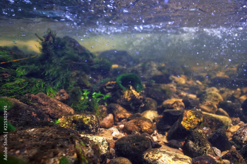 underwater mountain clear river / underwater photo in a freshwater river, fast current, air bubbles by water, underwater ecosystem landscape