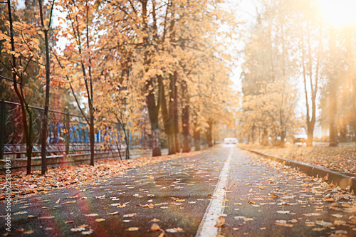 Autumn rain in the park