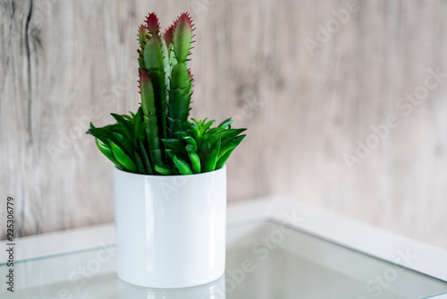green plant in white pot with wood background