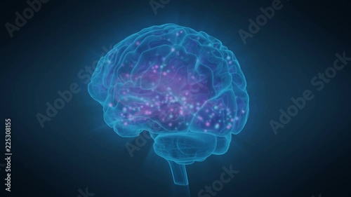 Excitation of Human Brain Zones, Brain Activity