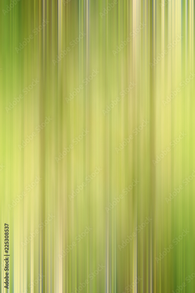 Obraz premium green gradient background / abstract blurry fresh green background