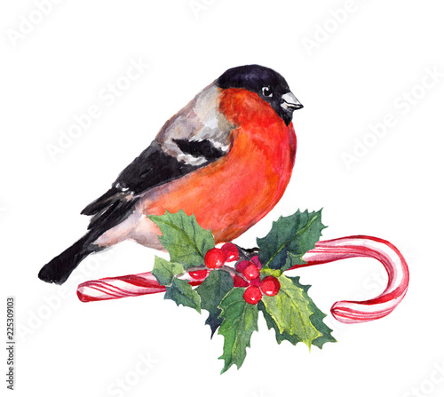 Foto Christmas bird finch on candy cane and mistletoe. Watercolor