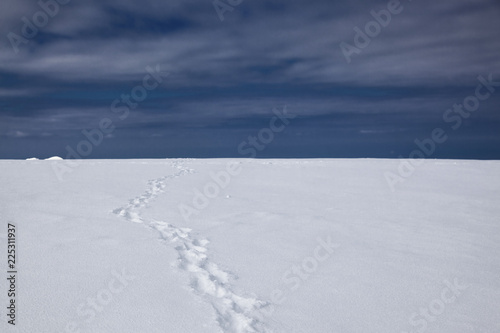 winter background of fresh snow and blue sky