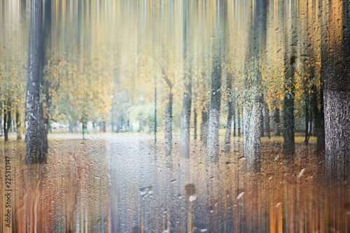 Background autumn rain in the park © alexkich