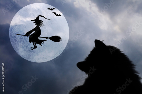 Halloween background with c...